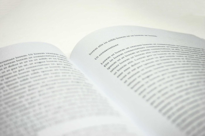 Neural Ipsum